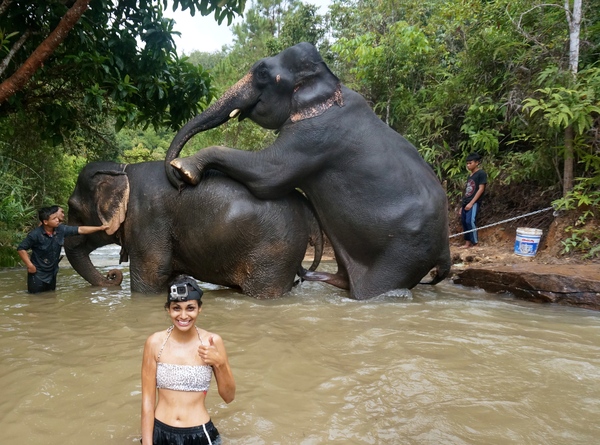 “Great holiday in Thailand. So many great photos - Elephants, Thailand, Relaxation