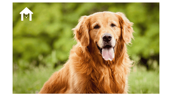 ���-�� �� ������� , ���������� ���� ��� �������� , � ��������� ����!)