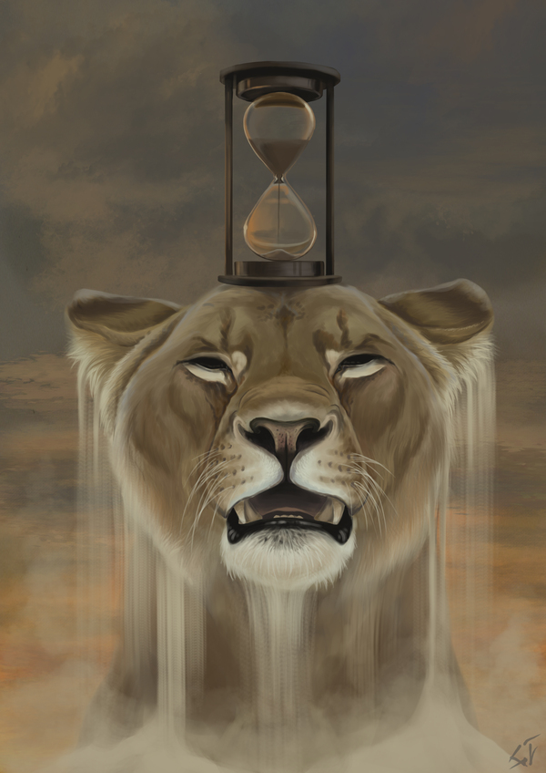 ���� ����� ��� ����� �������