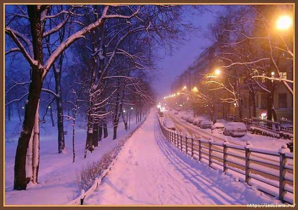 Рассказы. «Соль».