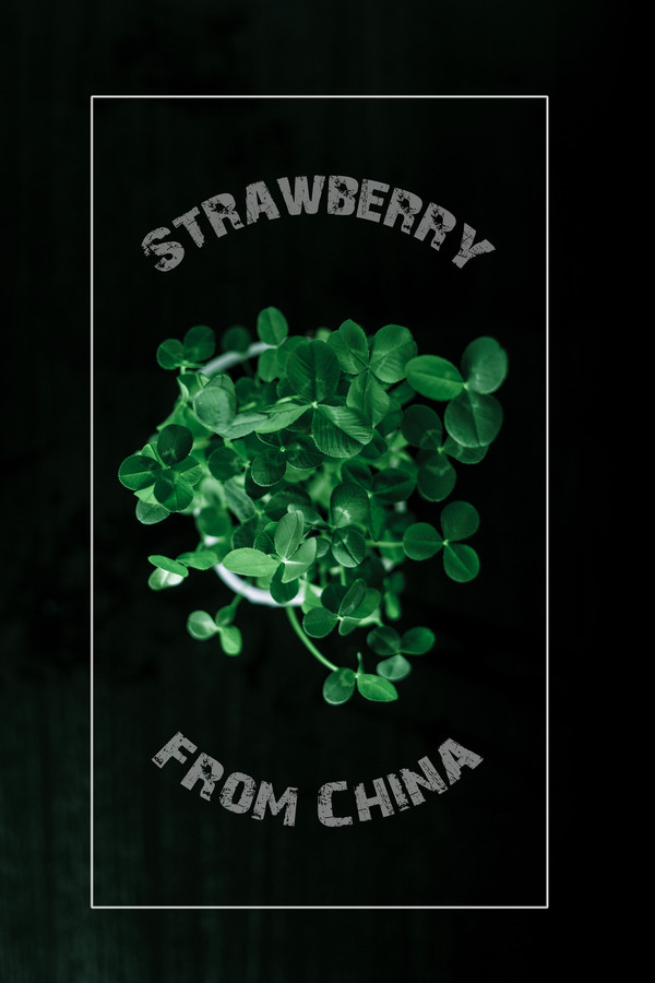 ������� �� ������������ ������ ��������... � ����� ������)