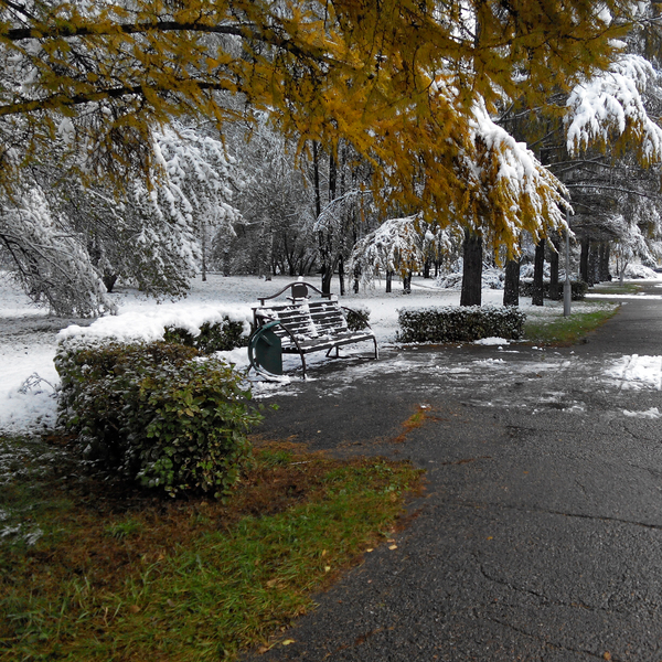 Confrontation - Snow, My, Weather, Novokuznetsk, Autumn