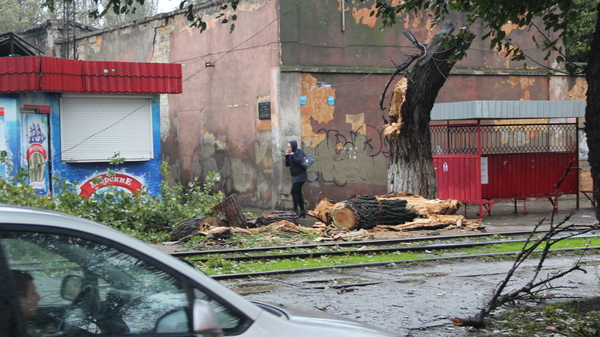 Hurricane Storm strong wind rain and all this in Odessa 12-10-2016 - My, Hurricane, Odessa, Wind, Rain, Strong, Storm, The fall, Tree, Longpost