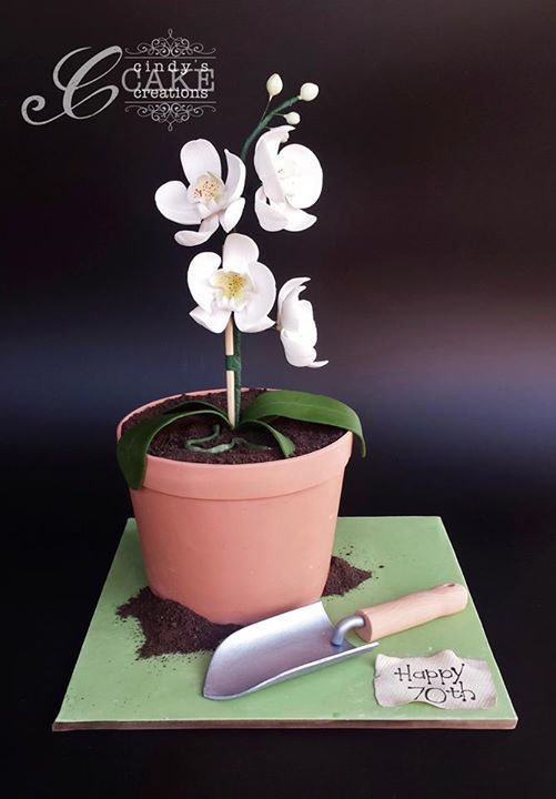 Baba flowers... - Cake, Photo, Longpost, Flowers, , beauty, Yummy