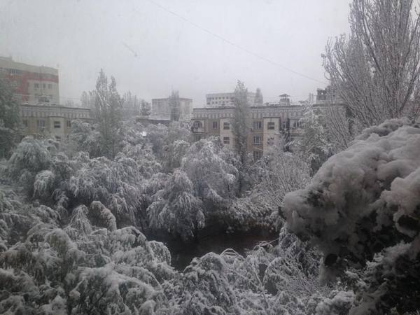 First snow in Bishkek 2016. - Kyrgyzstan, Snow, Not mine, Bishkek