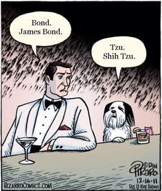 Friday) - Dog, Humor, Picture with text, Communication, Bond, James Bond