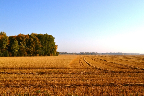 Autumn - Autumn, The photo, Nature, Not photoshop