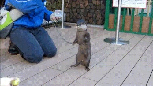 !