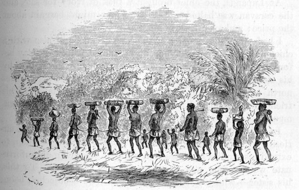 Capture of slaves in Africa - Slave trade, Slavery, Images, Africa, Longpost