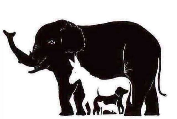 How many animals are in the picture? - Animals, Illusion, Optical, Hard, Easy, Longpost