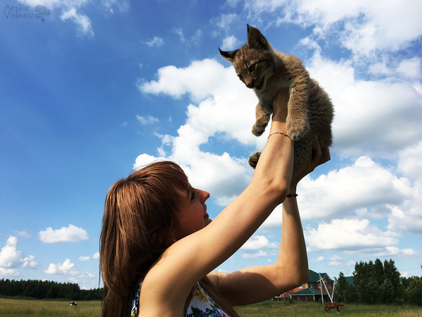 "Everything the light touches is our Kingdom Simba" Рысь, Ханна, Прогулка, Длиннопост