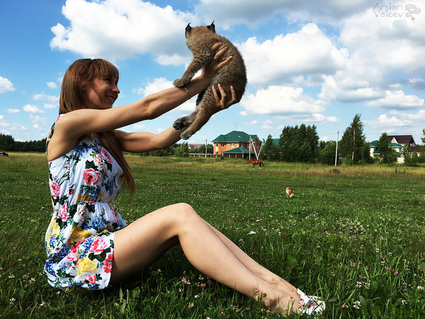 "Everything the light touches is our Kingdom Simba" Рысь, Ханна, Прогулка, Длиннопост