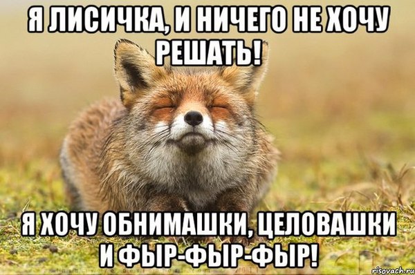 Sunday. morning. - Fox, Picture with text, Laziness, Morning