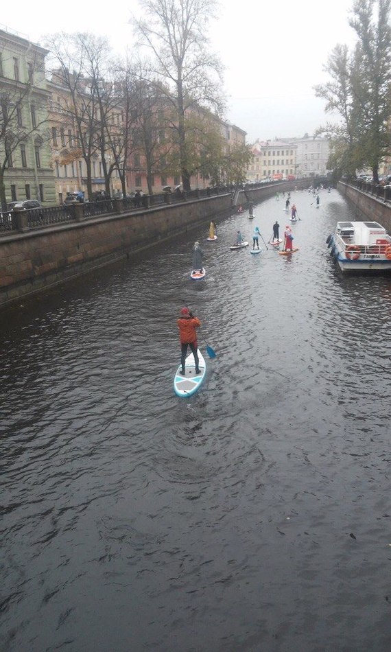 SUP surfing festival in St. Petersburg. - Surfing, , Saint Petersburg, Sport, Longpost, SUPsurfing