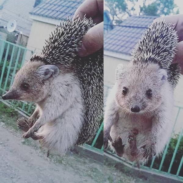 �� �������� � ��� � ���� !