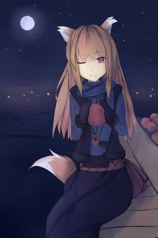 Moonlit night travel Anime Art, , Spice and Wolf, Horo, Holo