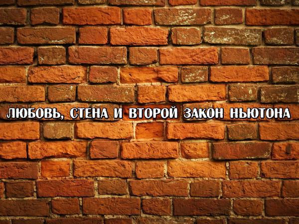 ������, ����� � ������ ����� �������