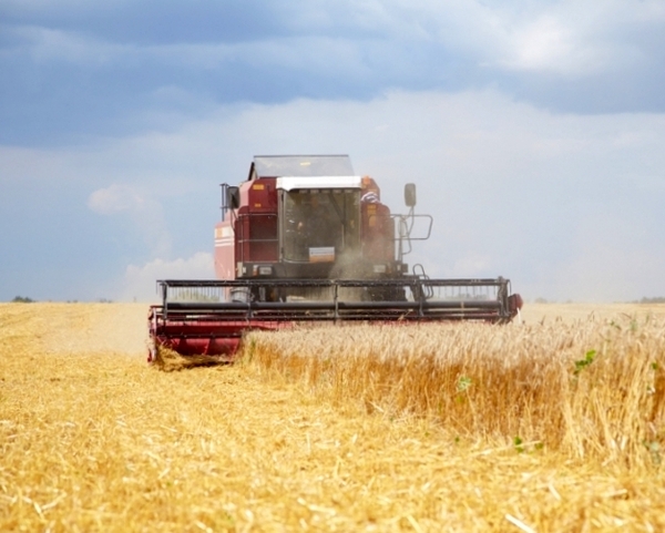 In Crimea, farmers sowed more than 50% of acreage - Crimea, sowing, 
