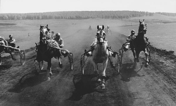 Run. USSR. 60s - Horses, Horse-race