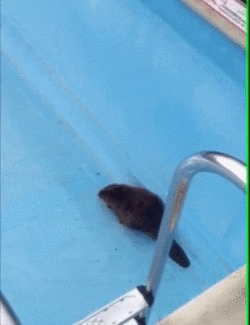    , , , , 