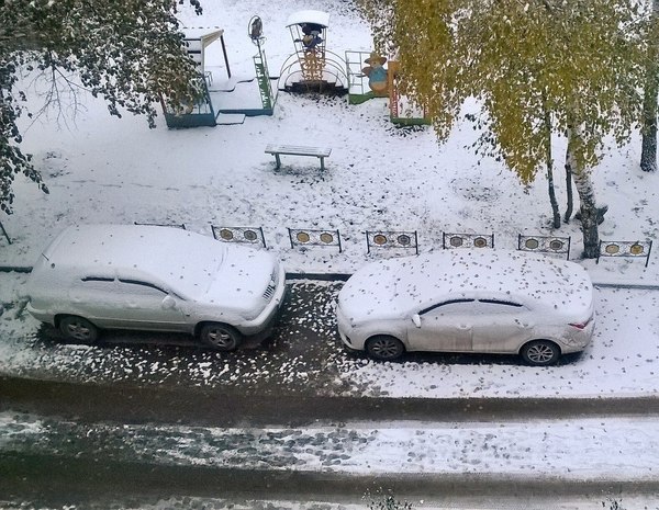 Snow leaf cake - My, Weather, Autumn, Snow, October, Barnaul, Altai, Altai Republic