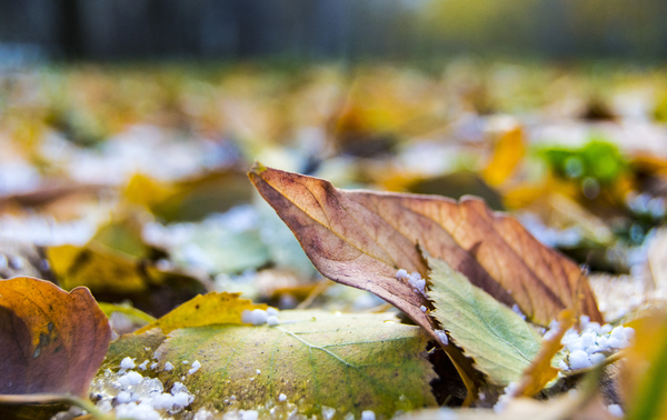 Fairy Autumn - My, Photoshop, Deception, Autumn, Photo, Leaves, Snow, Hail