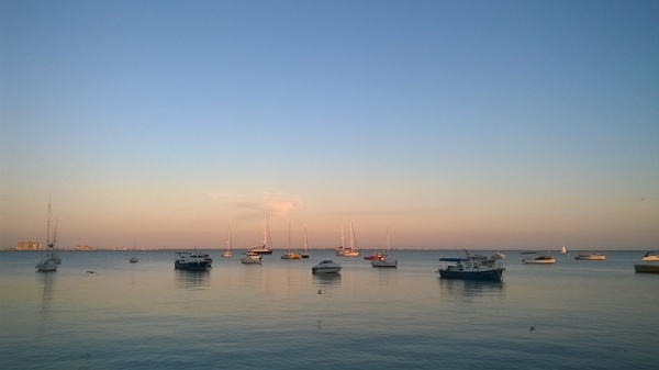 Crimean. - My, Crimea, Autumn, Sea, Weather, Relaxation, Longpost, Evpatoria, Birds