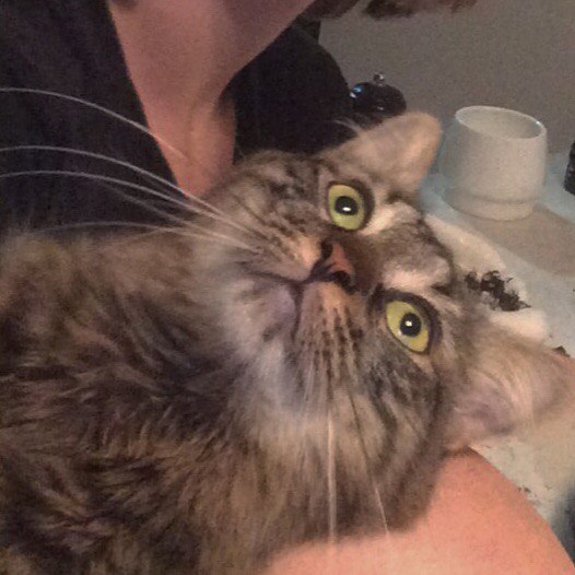 Когда проснулся в 10, а тебе к первой паре