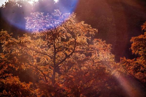 Осенняя красота в Краснодарском крае. Осень, Осенние цвета, Краснодарский край, Сукко, Анапа, Большой утриш, Fujifilm, Фотография, Длиннопост