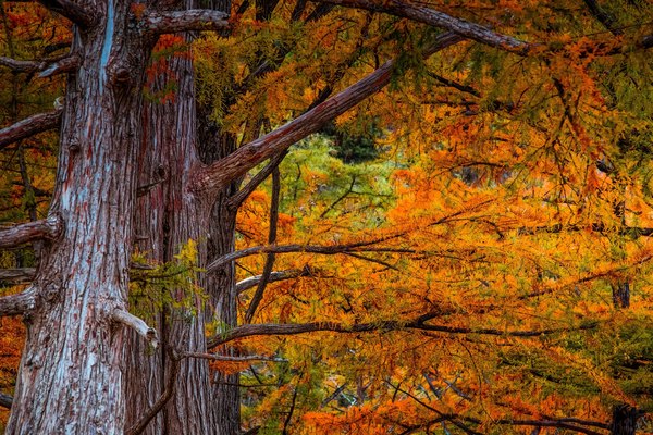 Осенняя красота в Краснодарском крае. Осень, Осенние цвета, Краснодарский край, Сукко, Анапа, Большой утриш, Fujifilm, Фотография, Длиннопост