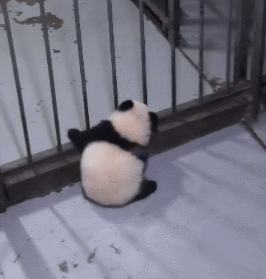 http://cs8.pikabu.ru/post_img/2016/10/22/10/1477155531195277258.gif