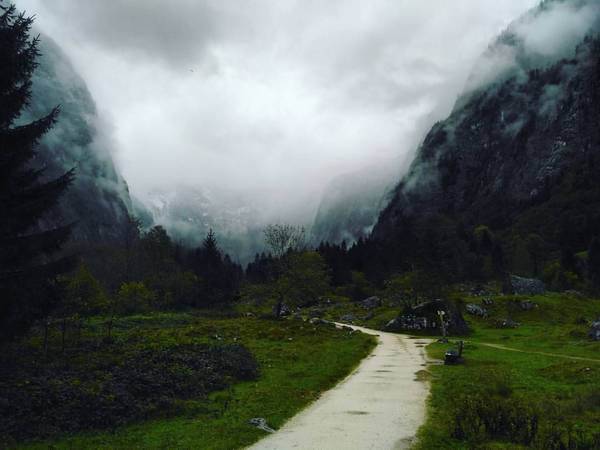 Path - Photo, Fog, Nature, The mountains, My