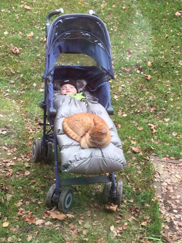 Reinforced heating pad - cat, Child