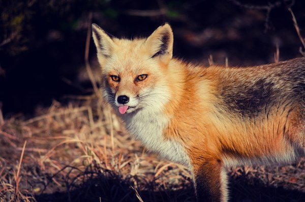 Когда мне говорят, вести себя серьёзно :D