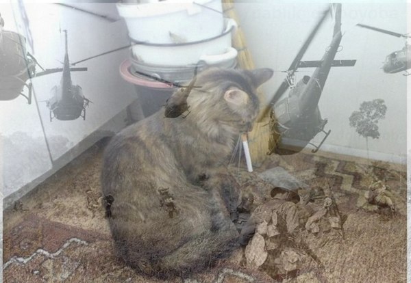 ������������