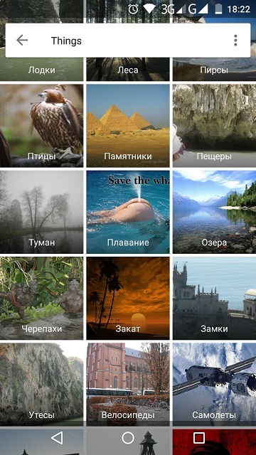 The Google Photos app automatically divided our photos into categories - NSFW, My, Images, Swimming, Appendix, Whale