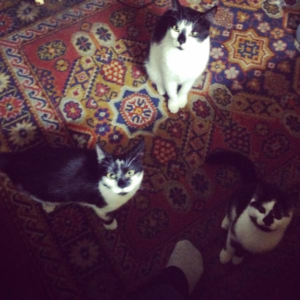 ��������� ����������� �� ����� �� ���� ����... ������������ �������, ����� � ������ ������ �� �����!