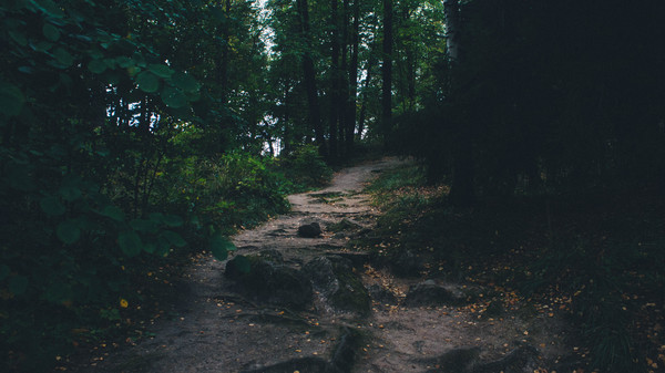 Monrepos Park, Vyborg - My, Mon Repos Park, Vyborg, Leningrad region, Photo, The park, Nature, Landscape, Longpost