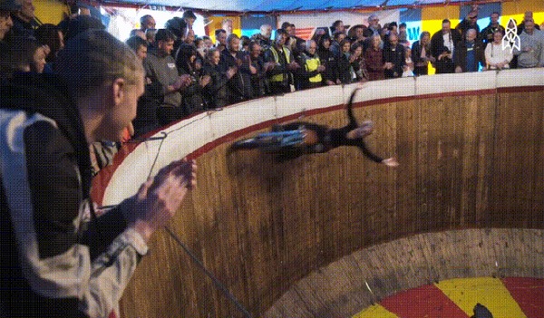      , , , ,  