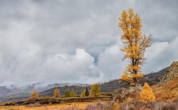 The tract Eshtykel - Altai, The mountains, Autumn, Nature, Go, Photo, The photo, Russia, Longpost, Altai Republic