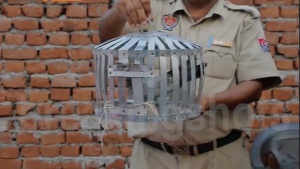 Dove arrested in India - Pigeon, Arrest, Conclusion, India