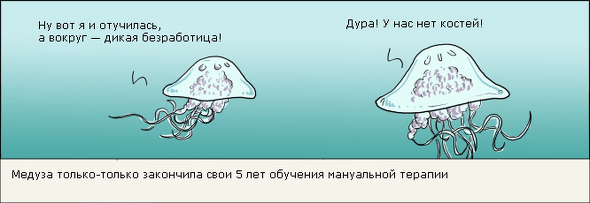 Отучилась. Медуза прикол. Шутки про медуз. Анекдоты про медуз. Медуза карикатура.