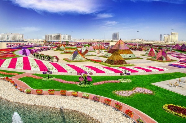 Flower Miracle Park in Dubai - Dubai, Flowers, The park, Longpost