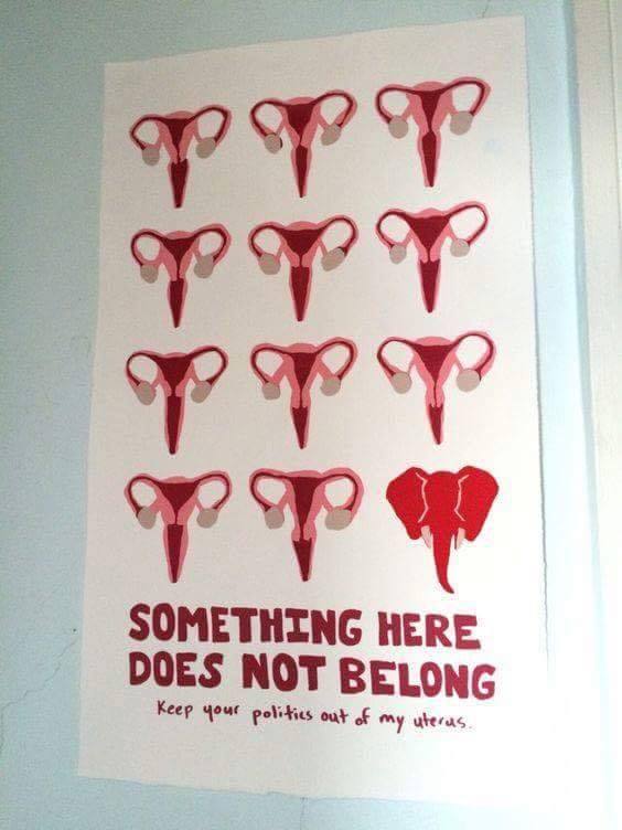 Something is missing here... - Found, Republicans, USA, Photo, Female uterus, Gynecologist, The photo