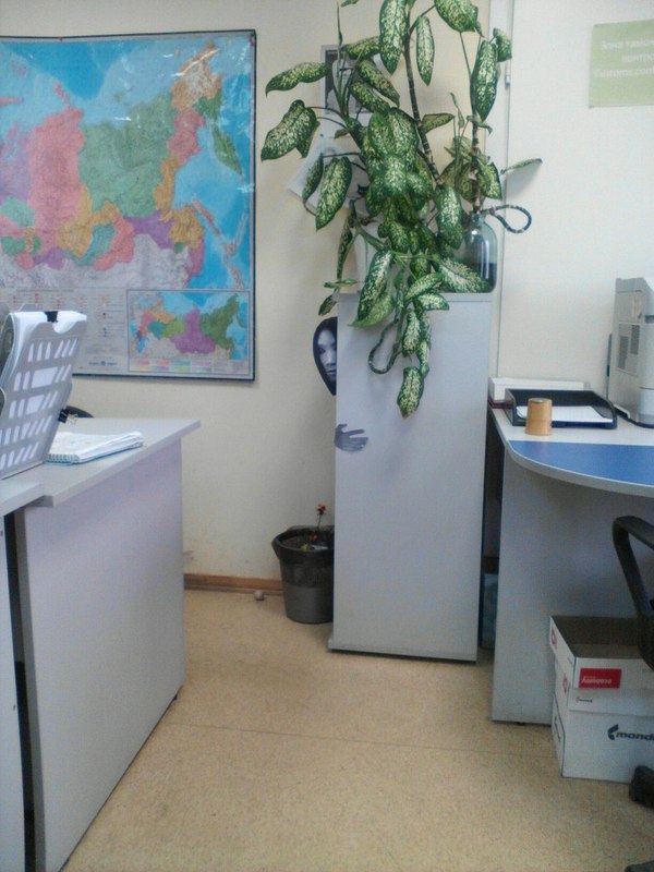 Наше место работы и наша стесняшка)