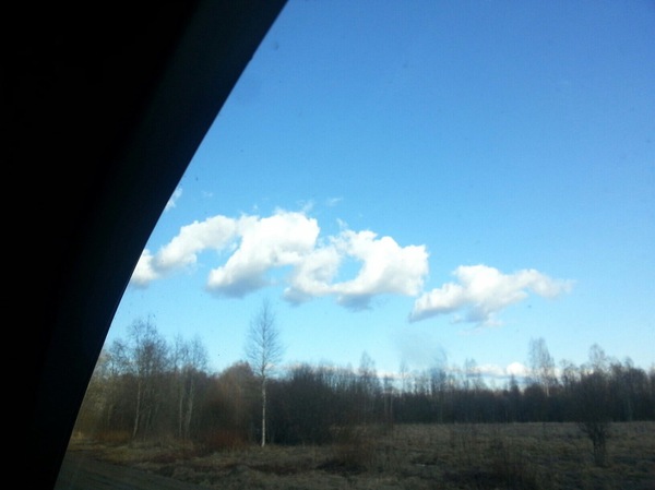 Боже, дай мне знак!