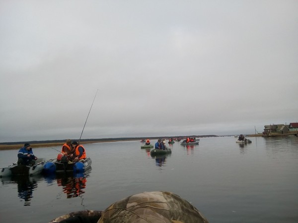 This is how we catch saffron cod when it enters the lip - White Sea, Fishing