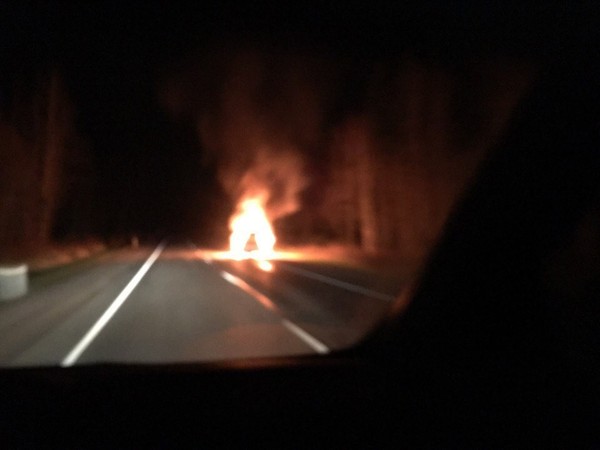On the Road of Life, a foreign car hit a wild boar and caught fire - Events, Russia, Leningrad region, Car, Ford, Boar, Is burning, Liferu