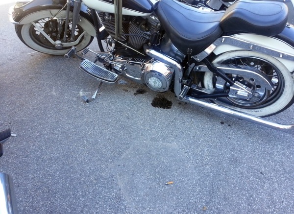 ��� ��������� �������