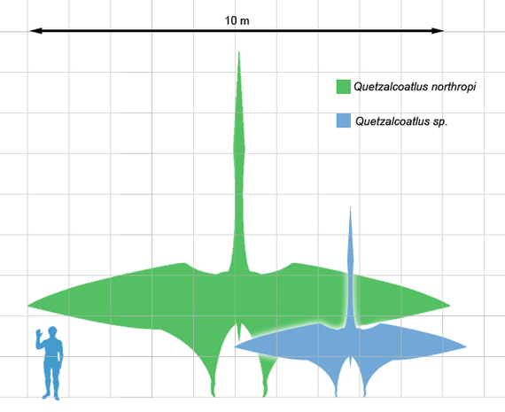 The appearance of dinosaurs. - My, Dinosaurs, Paleontology, Sauropods, Giants, The size, Longpost